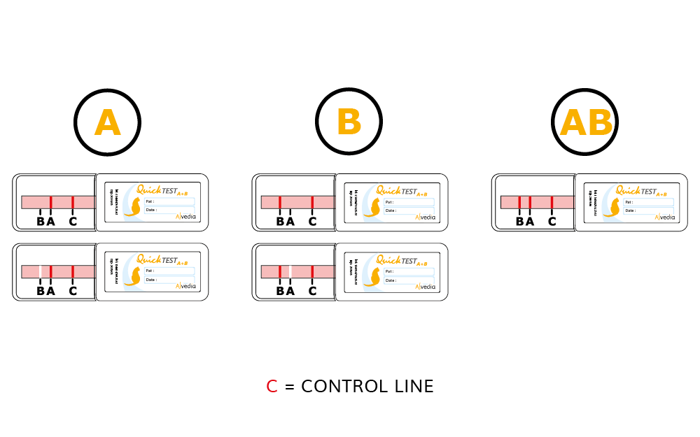 Quick Test BT : Feline | Alvedia
